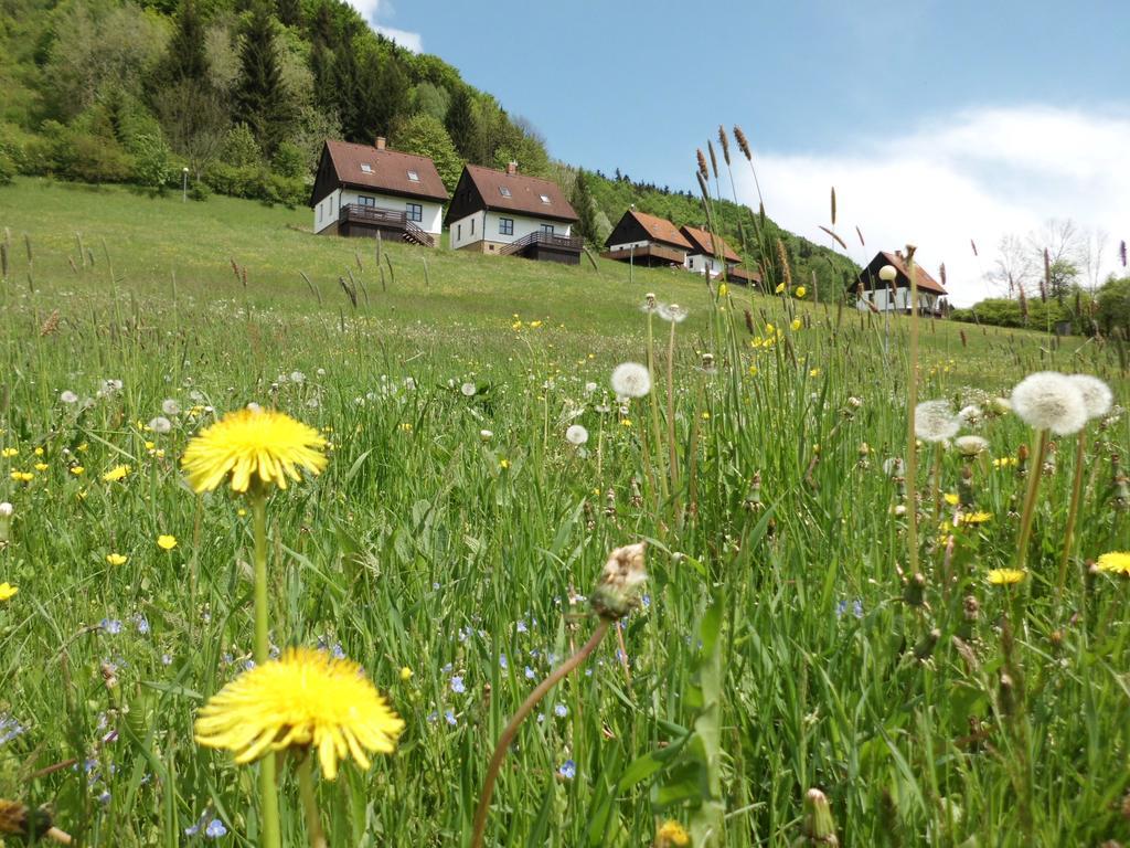 Casa vacanze Valley Park