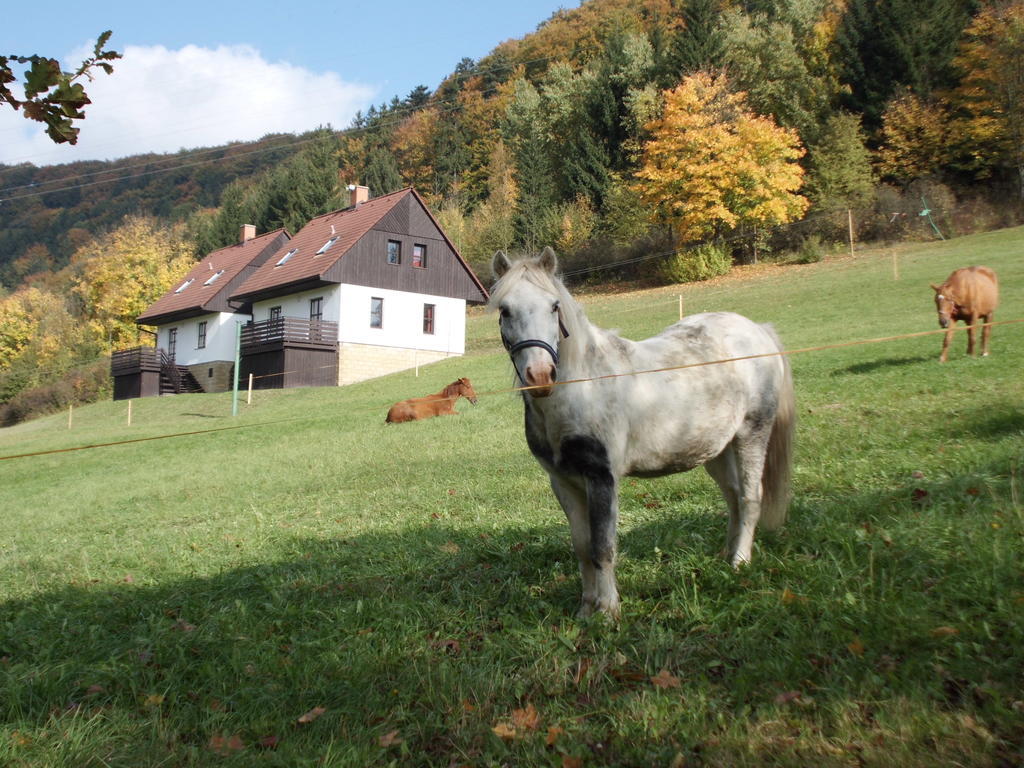 Casa vacanze Valley Park Stárkov