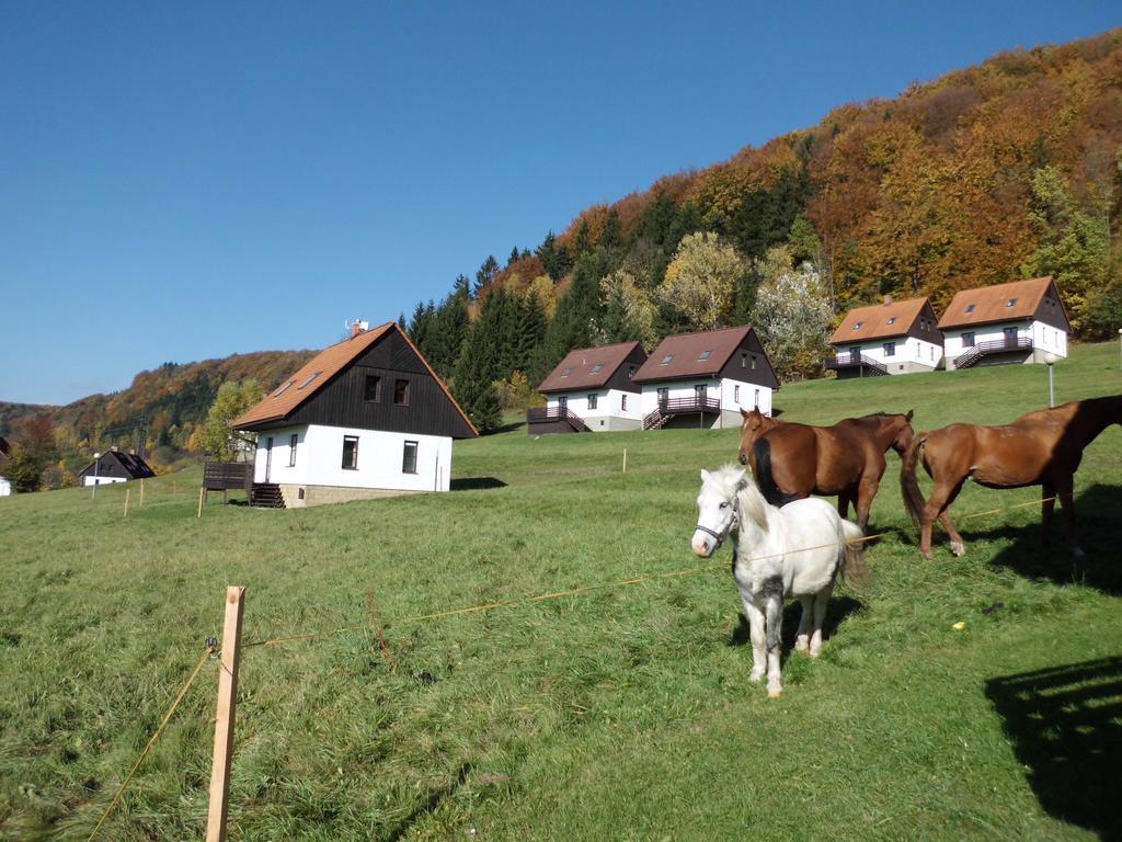 Casa vacanze Valley Park Stárkov