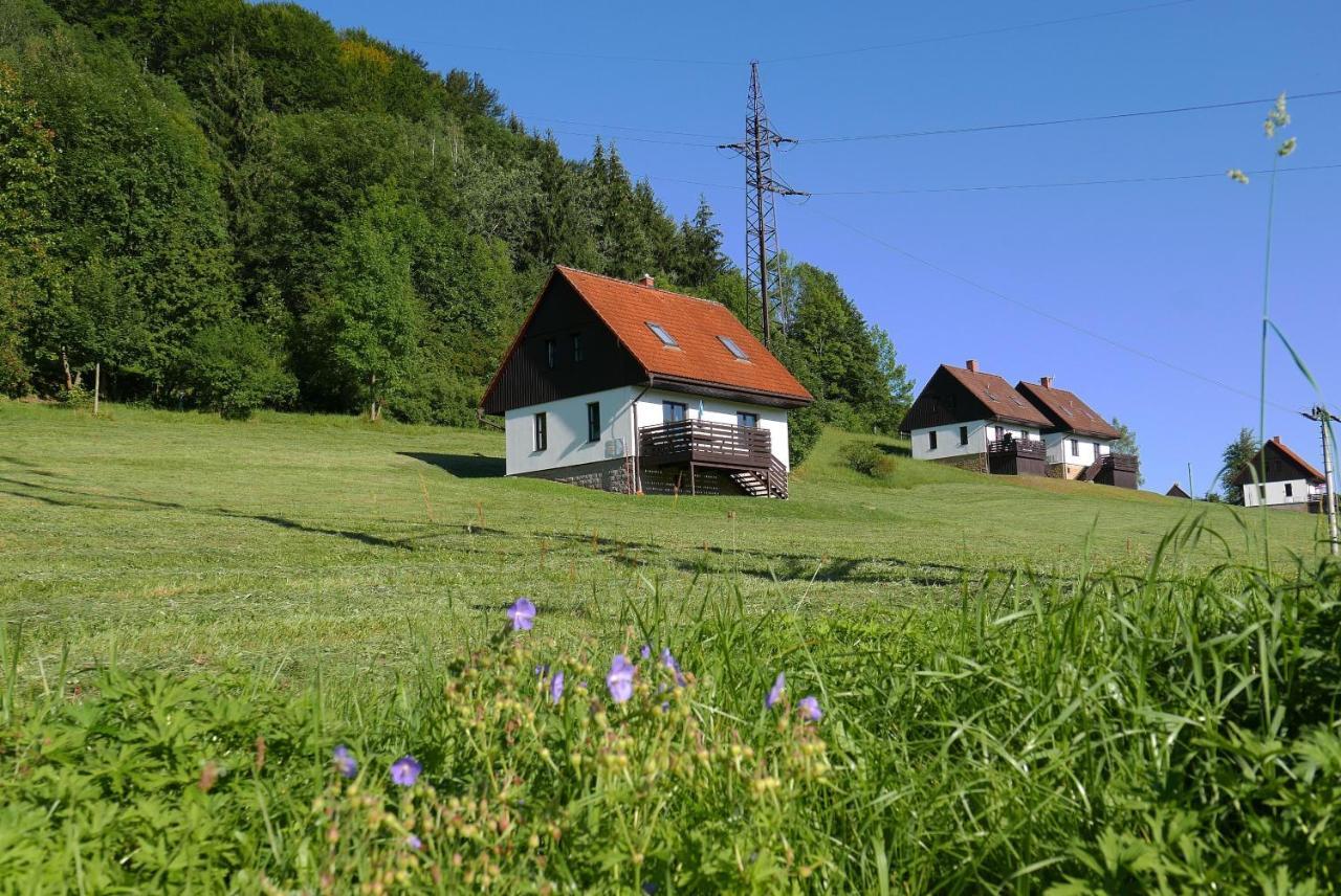 Valley Park Stárkov