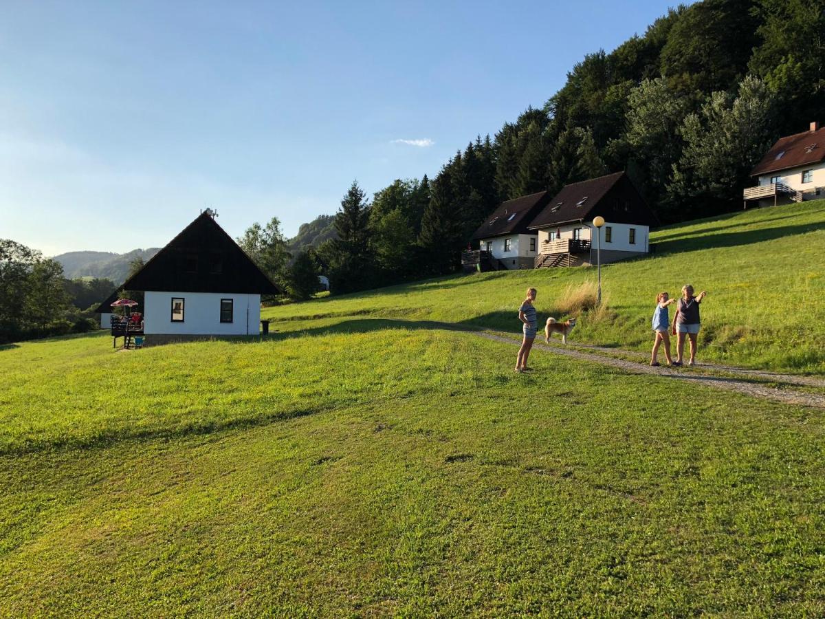 Valley Park Stárkov